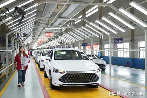 制造业寒冬或将来临 比亚迪厂库存 堆积如山 ,工厂停工令人忧